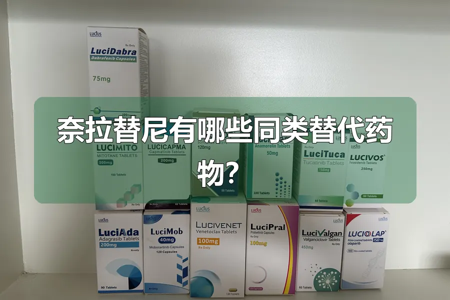 奈拉替尼有哪些同类替代药物？